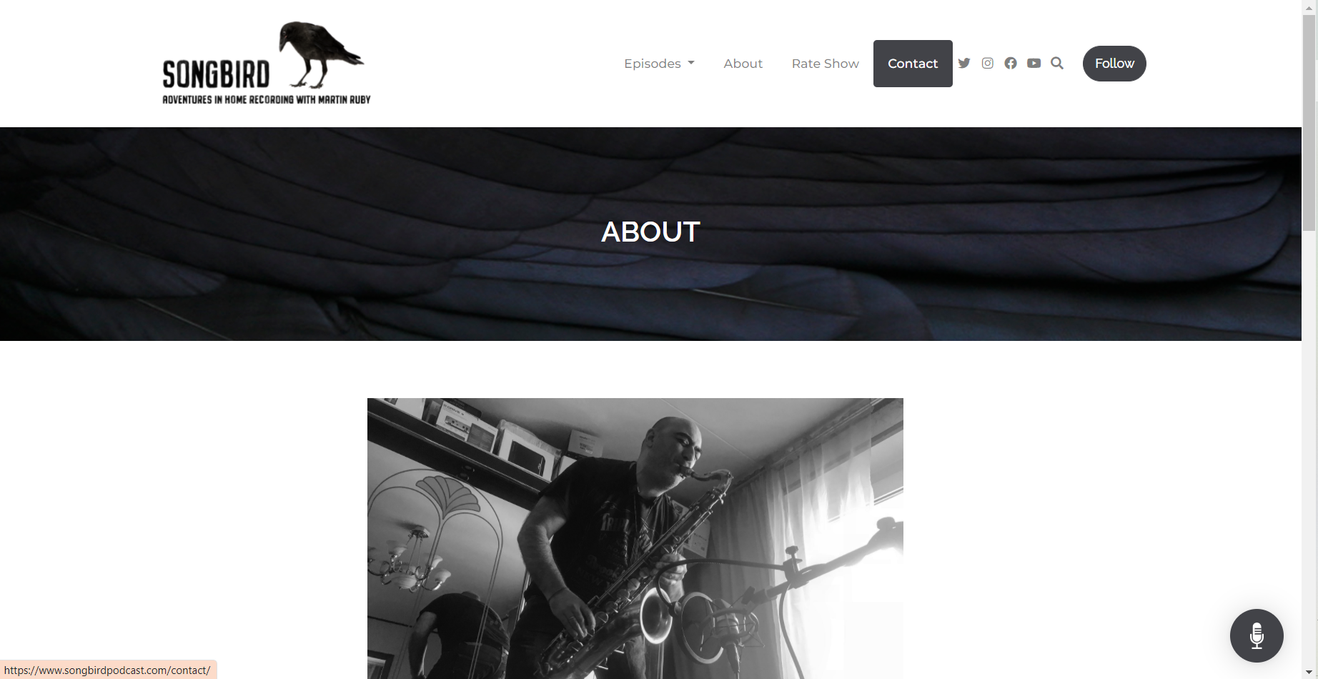 SONGBIRD | Adventures in home recording with Martin Ruby website